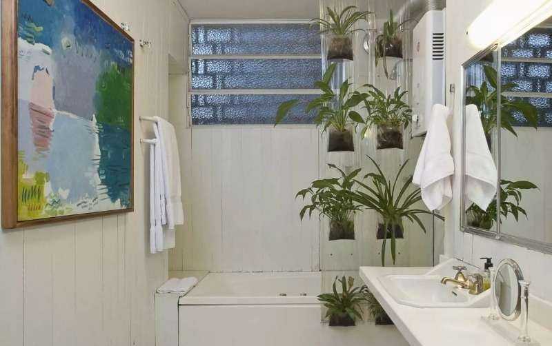 Озеленение ванных комнат и санузлов: обзор популярных комнатных растений