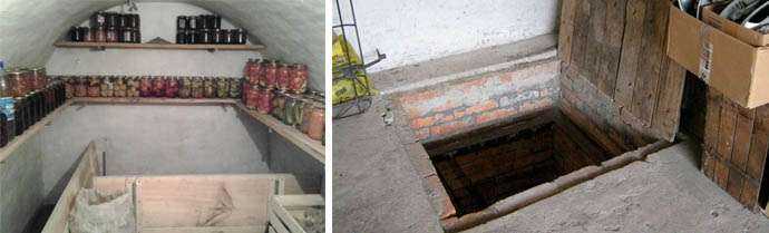 Грибок в подполье деревянного дома: как избавиться от плесени в подвале