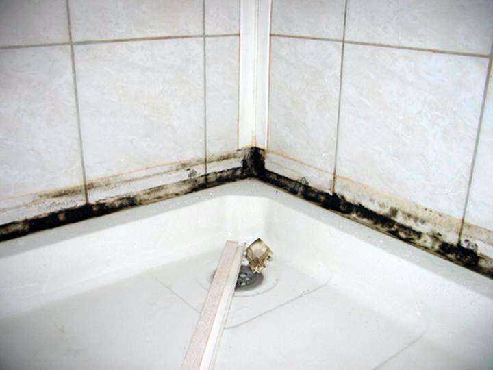 Как убрать плесень в ванной на герметике - журнал expertology