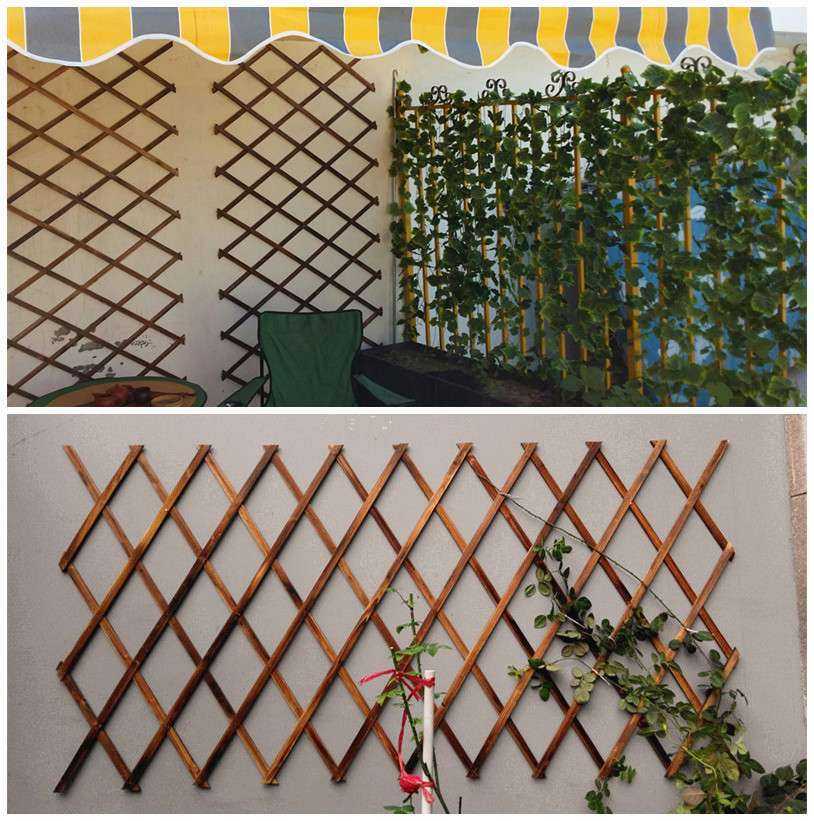 Как покрасить сетку-рабицу на заборе: основные способы (+20 фото)