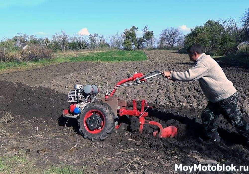 Как подготовить целину под огород, чем обработать и удобрить почву