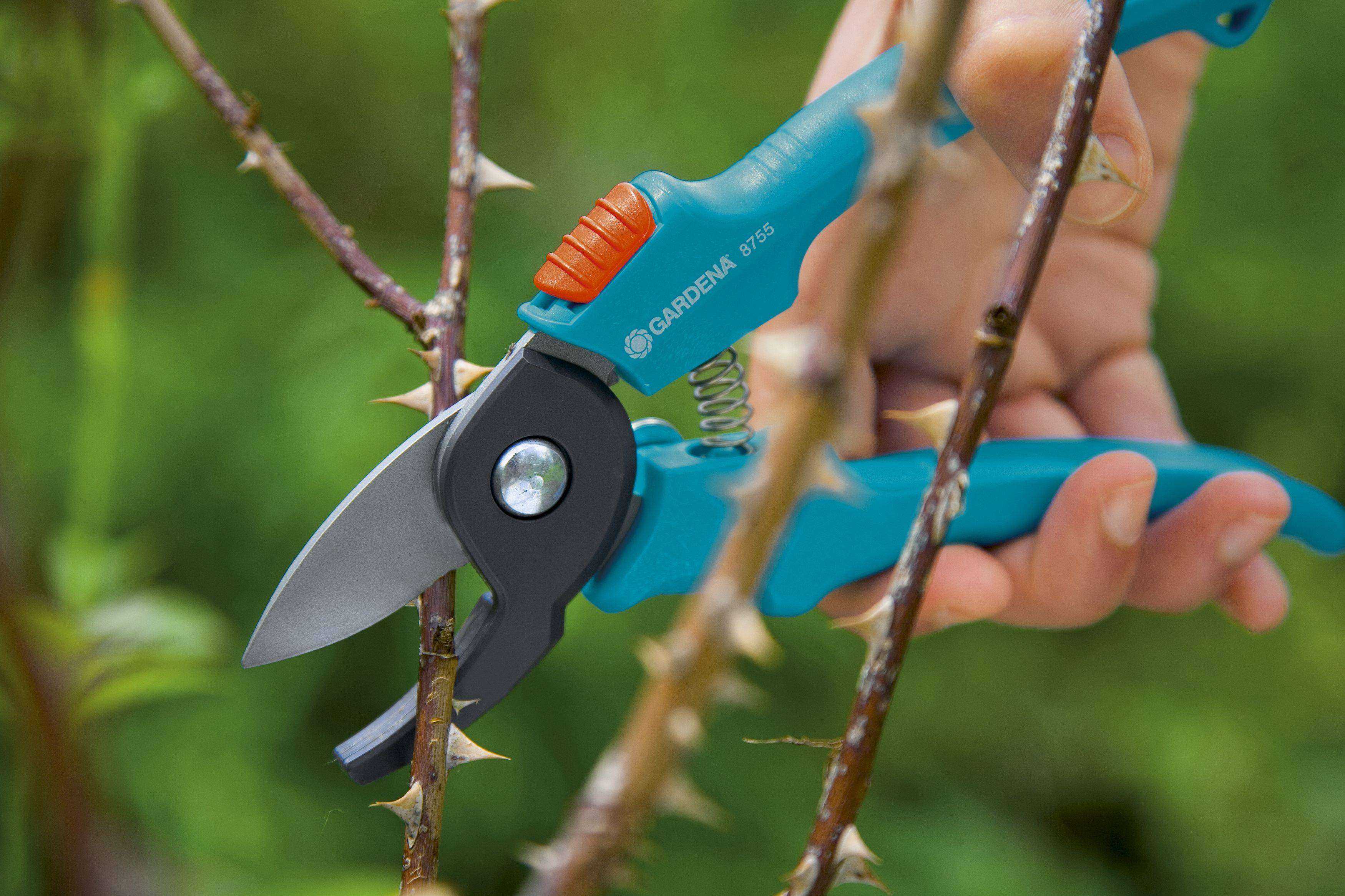 Приспособление для прививки плодовых деревьев: professional grafting tool инструкция