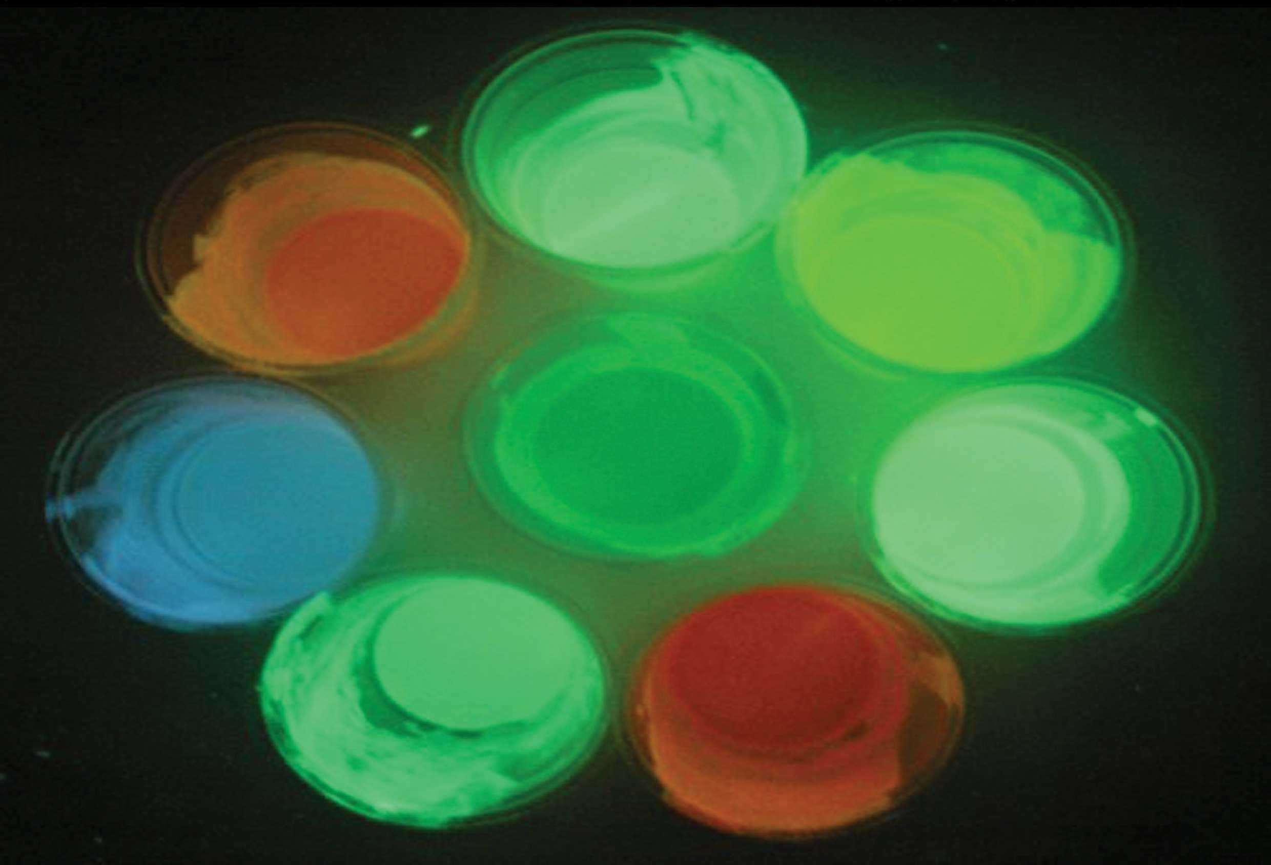 Люминесцентная краска: описание светящейся смеси, виды и применение