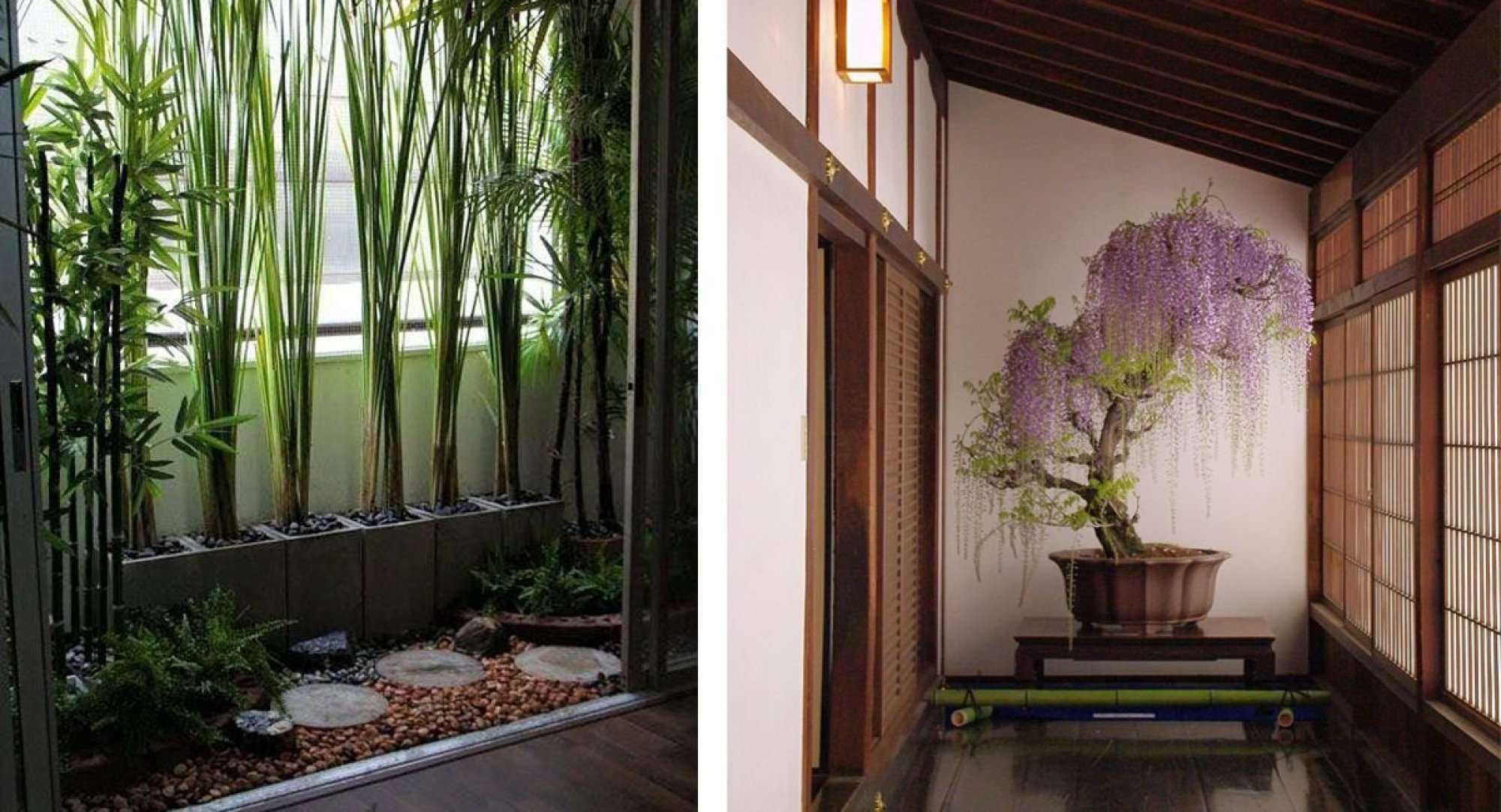 Какие цветы можно держать в ванной комнате без окна: живые цветы, бамбук, орхидея