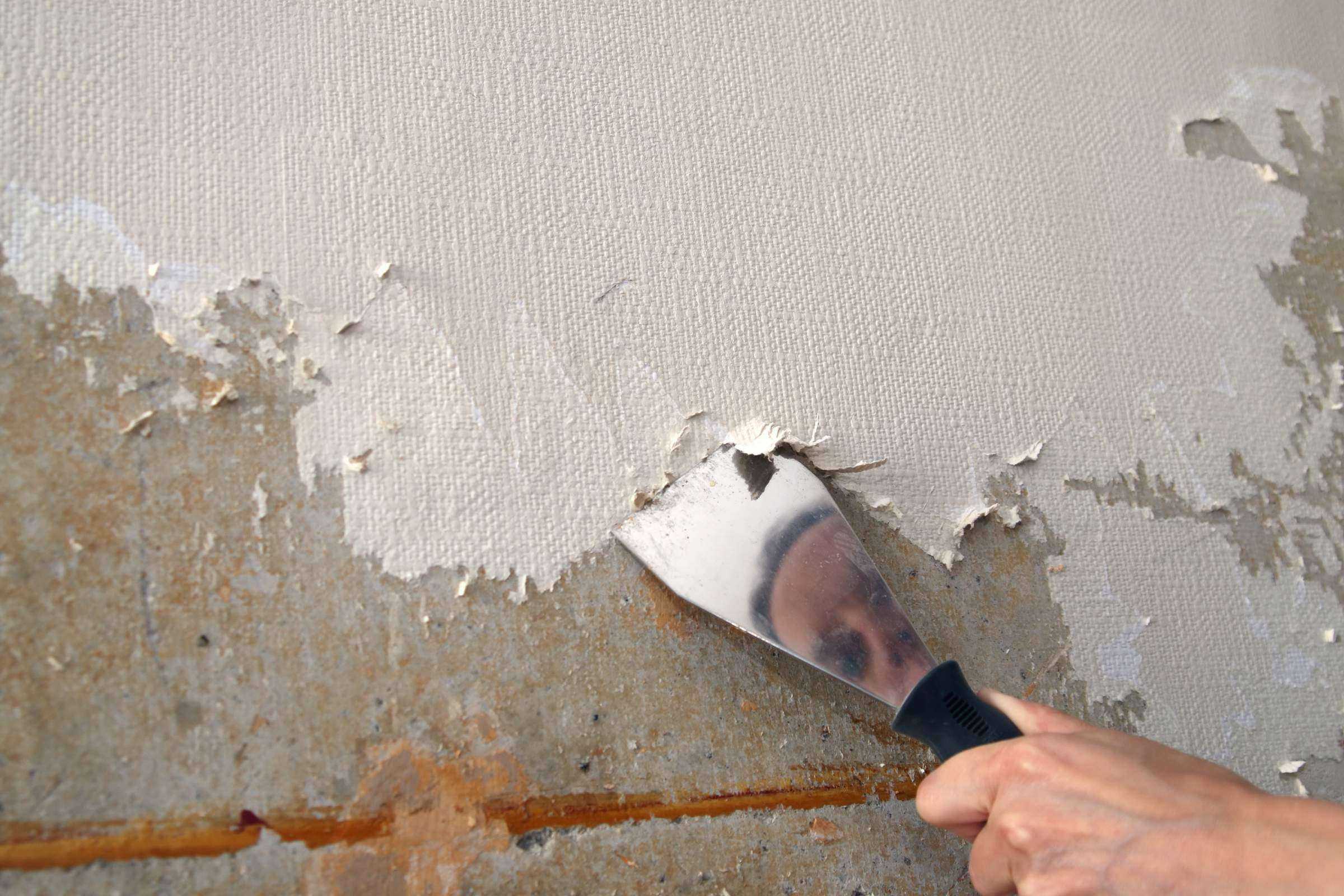 Подготовка стен под покраску своими руками: порядок работ и инструменты